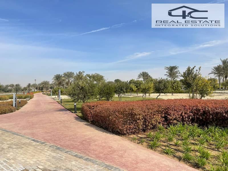 4 WhatsApp Image 2025-02-03 at 2.19. 33 PM. jpeg