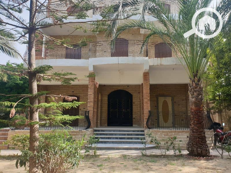 فيلا ١٠٠٠م مسجلة شهر بكنيج مريوط فيلا ١٠٠٠م مسجلة شهر بكنيج مريوط