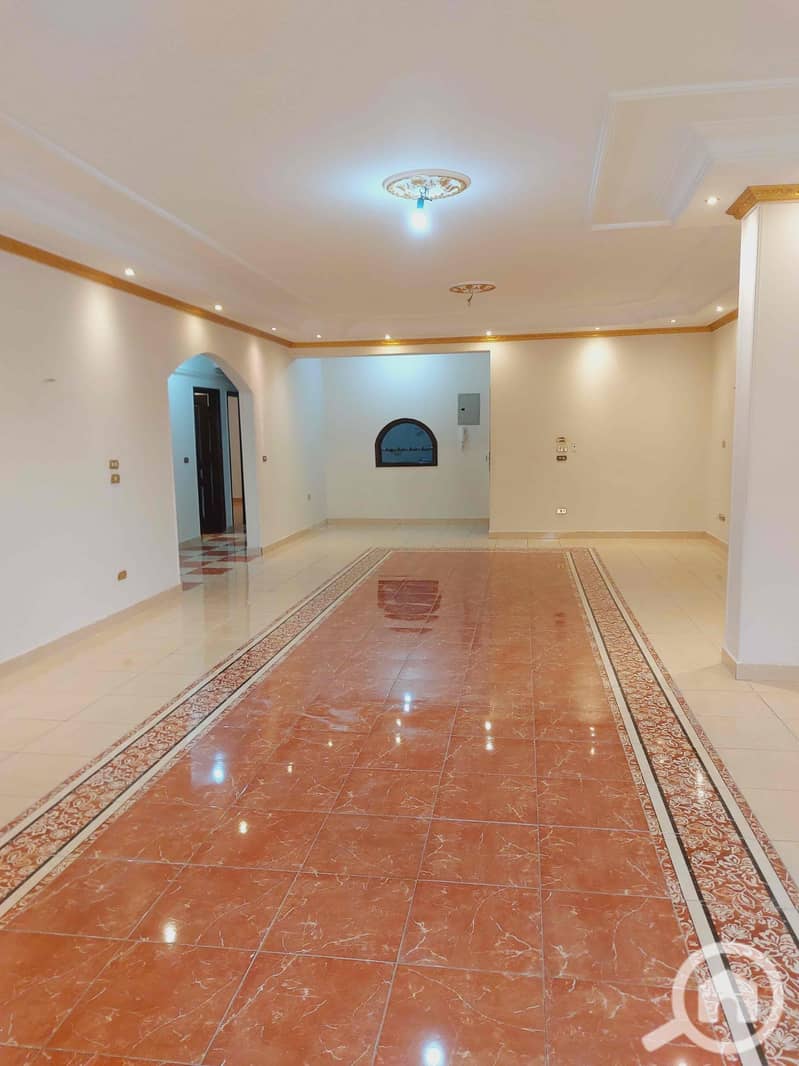 5 6491595b-647e-420c-ad5f-f6972ac2b1e7. jpg