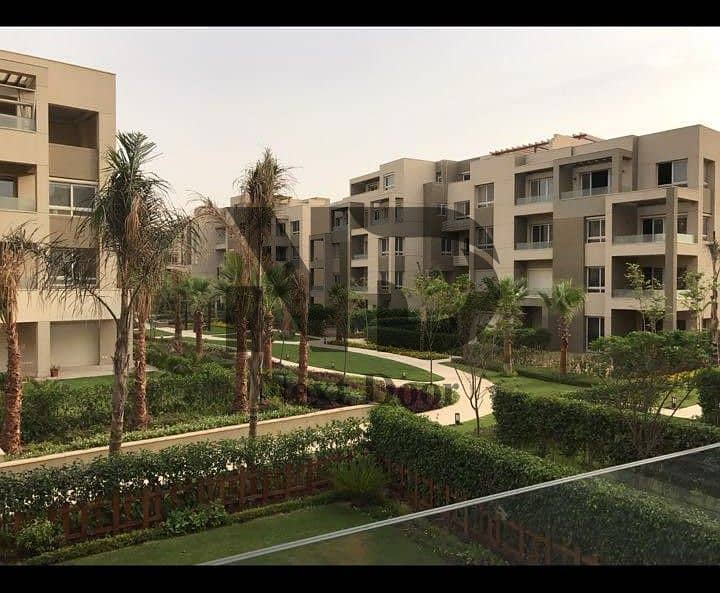 3 9cc21c61-88ee-40f5-a93c-a09fae187a39. jpeg