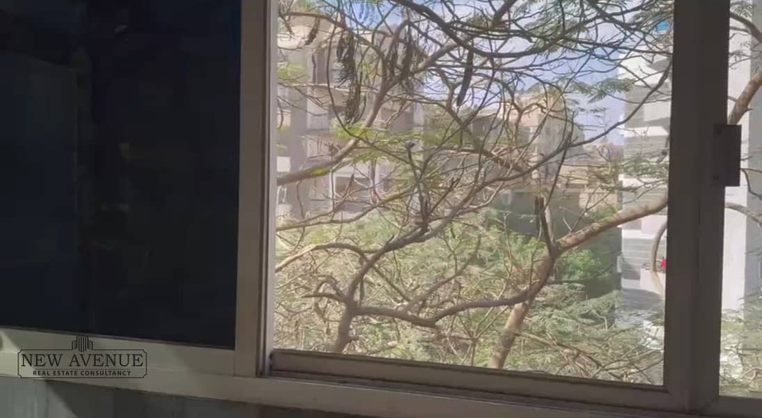 6 764efc96-d5e6-4b75-9cd6-84ccc7d59296. jpg