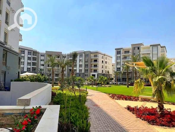 9 561892338_122169826088900138_3021544294351552728_n. jpg