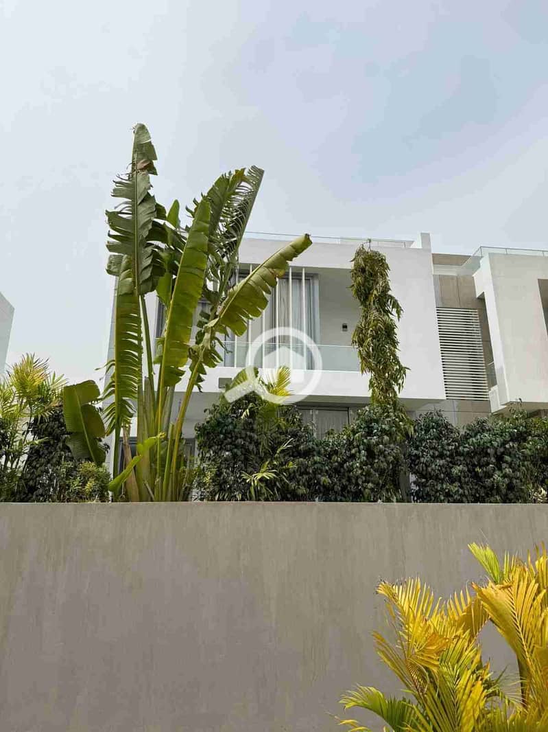 3 IMG-20260124-WA0533. jpg