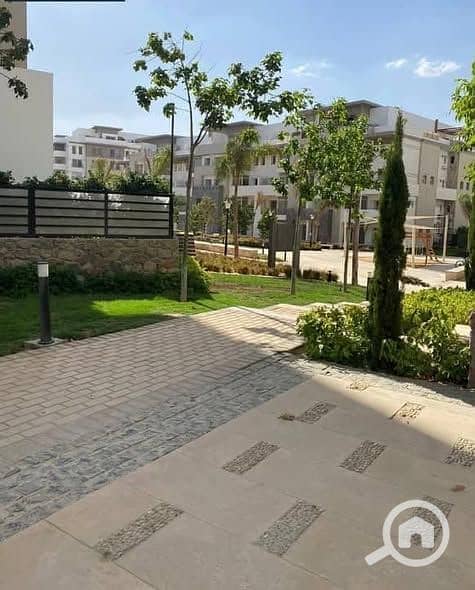 5 496943021_2445978852402979_9057462106359873746_n. jpg