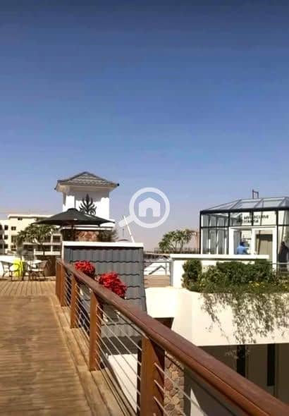 6 482014834_1158346082462899_7720077376855260413_n. jpg