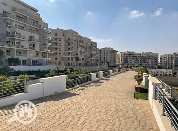 9 481098170_1158353609128813_6266030305009913762_n. jpg