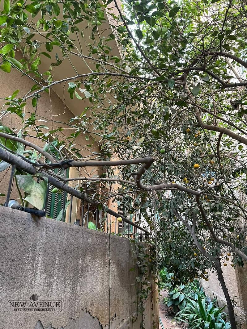 8 d42fca02-757d-494c-9610-b6e635fb890e. jpg