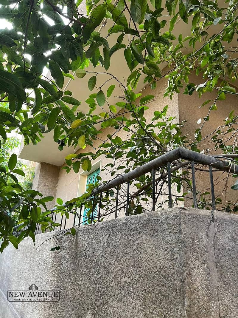 10 fa693219-3a05-4100-b403-b0048ee57f42. jpg