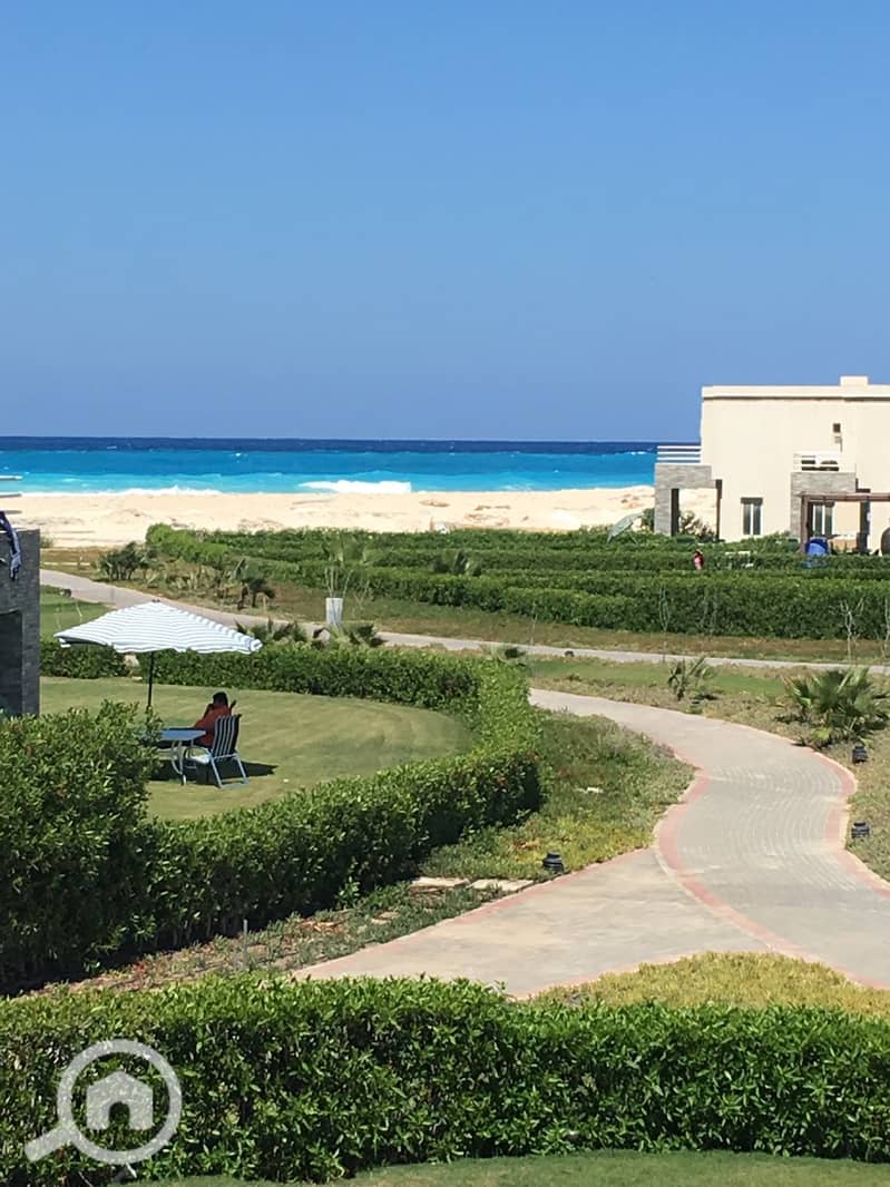 6 WhatsApp Image 2026-01-24 at 5.09. 17 PM (3). jpeg