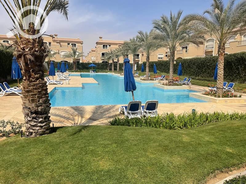 5 WhatsApp Image 2025-12-29 at 4.49. 49 PM (2). jpeg