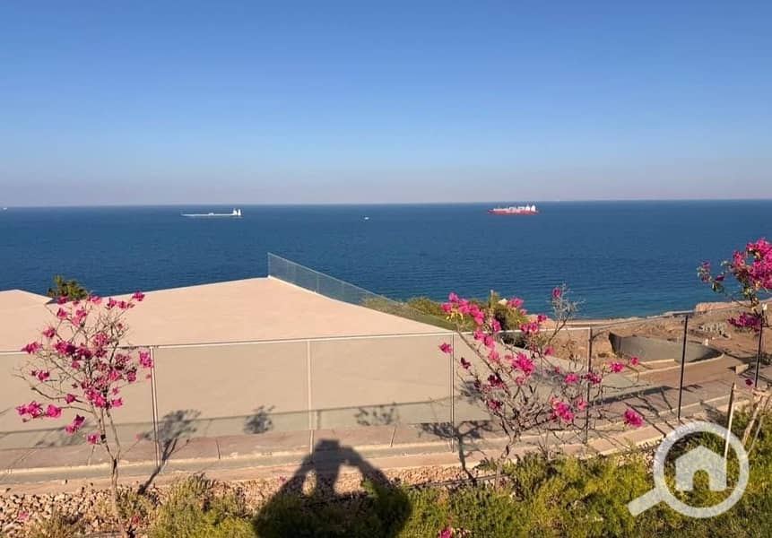 9 b694772f-ee69-4efb-87fd-896c483cc07c. jpeg