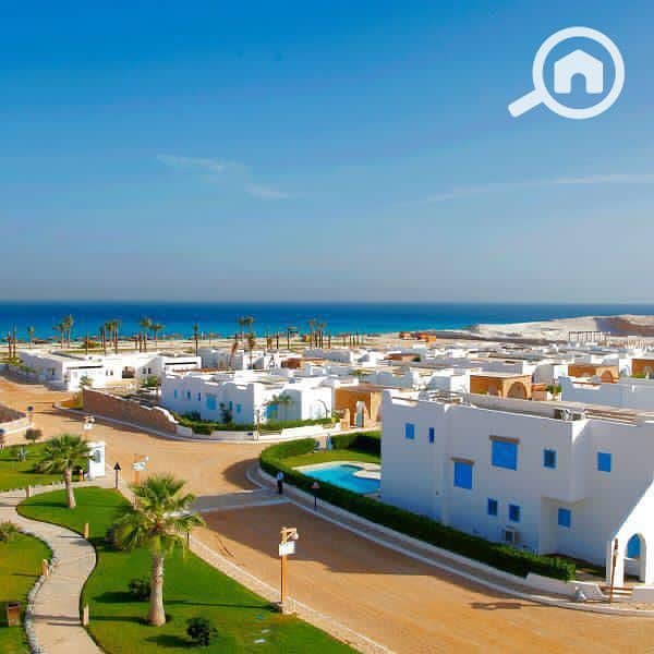 IMG-20210727-WA0040 (1) - Copy. jpg IMG-20210727-WA0040 (1) - Copy. jpg