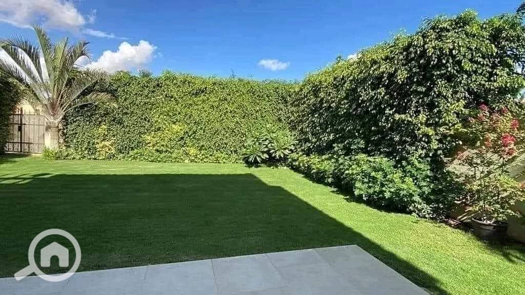 4 FB_IMG_1732823876427. jpg