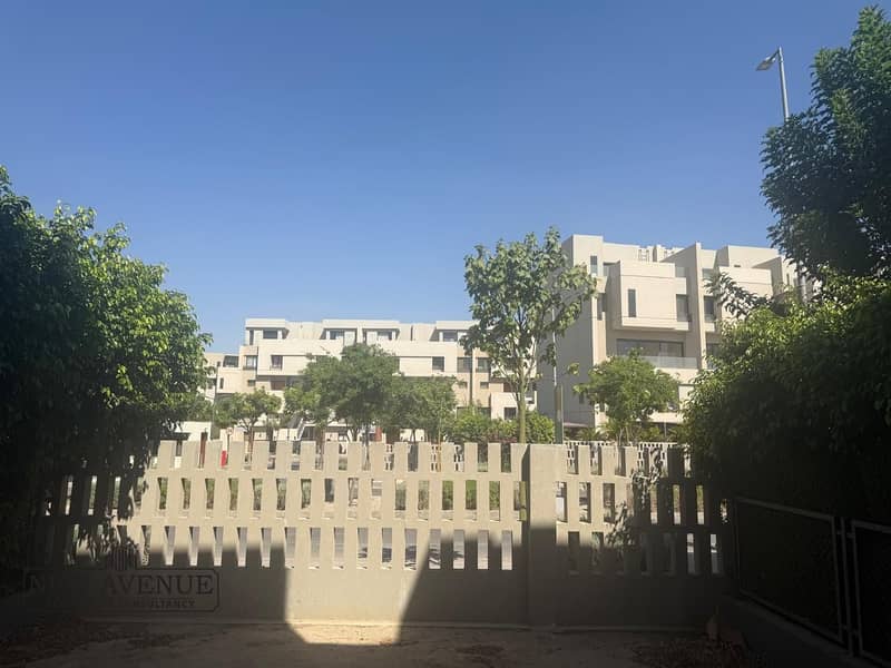 5 53311ea2-f908-4251-bf0c-b0773dbd5d5c. jpg