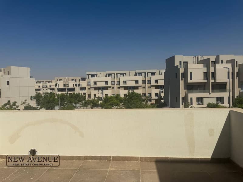 6 55904891-38f1-4438-983d-19acde5dc49f. jpg