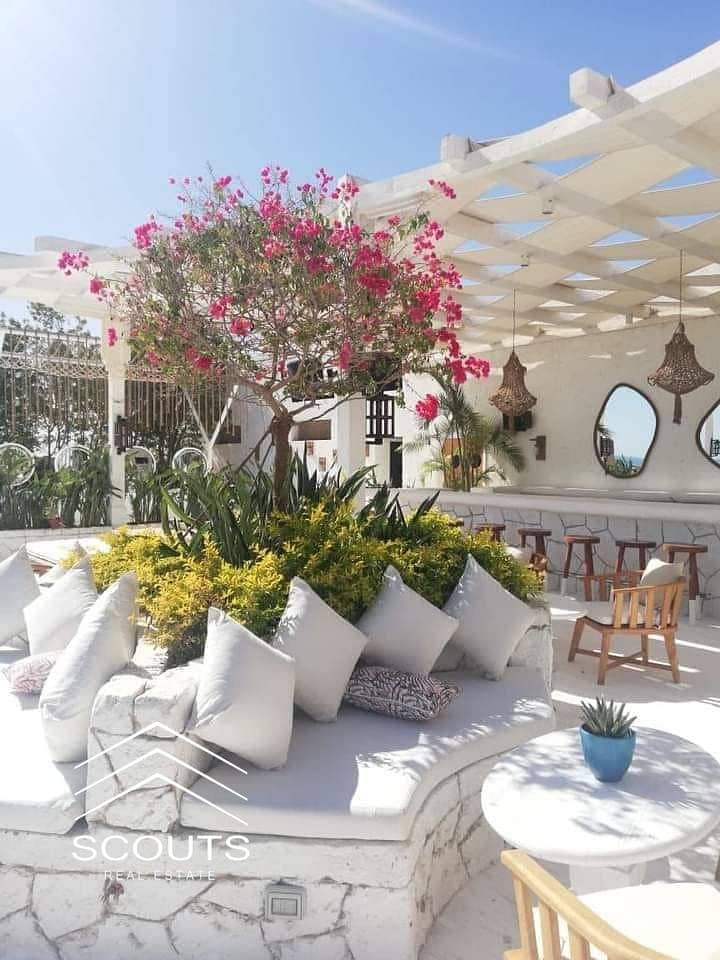 10 WhatsApp Image 2024-03-03 at 17.15. 21_1c2b5407. jpg