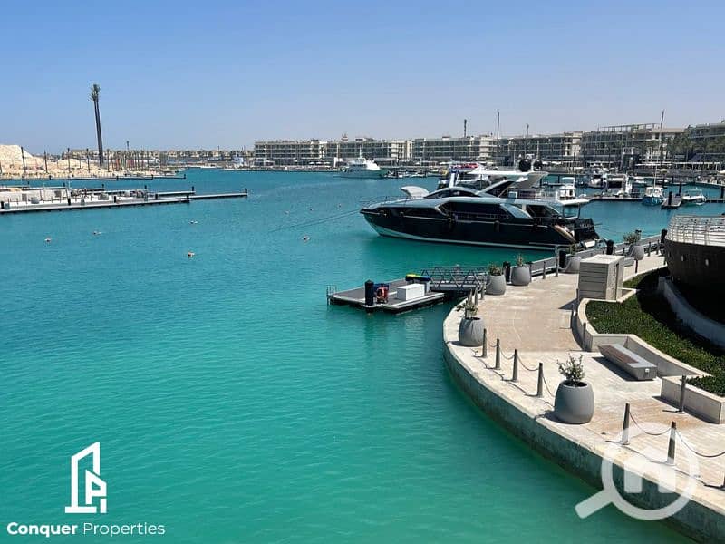 5 Untitled design - 2023-07-26T150559.910 - Copy. png