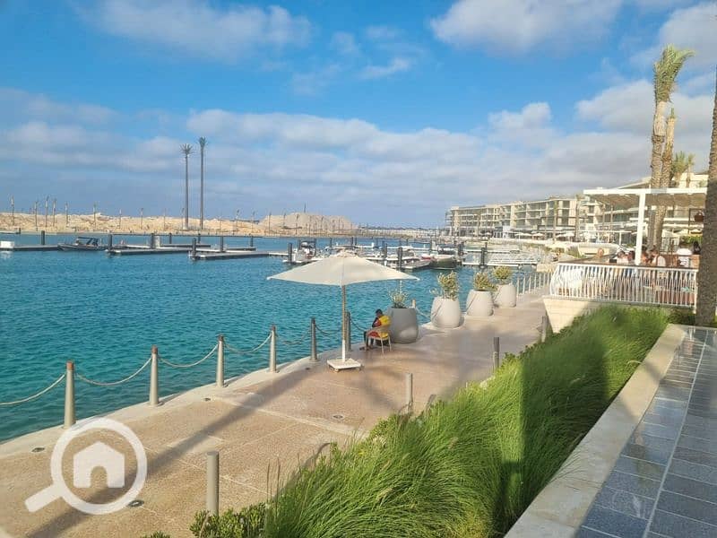 9 Untitled design - 2023-07-12T141657.035 - Copy - Copy - Copy. png