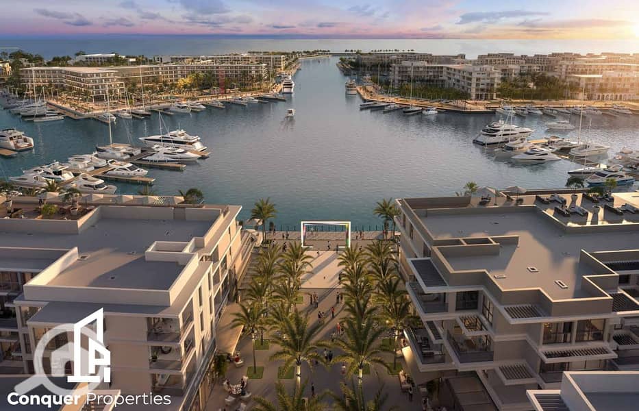 3 Untitled design - 2024-04-01T135935.558. png