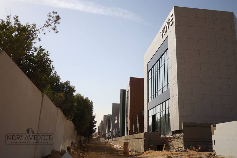 3 116ff612-6a18-49d4-9896-6806b55eb9e2. jpg