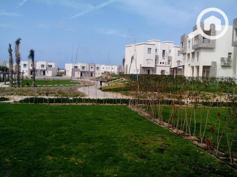 11 aa160414105944. jpg