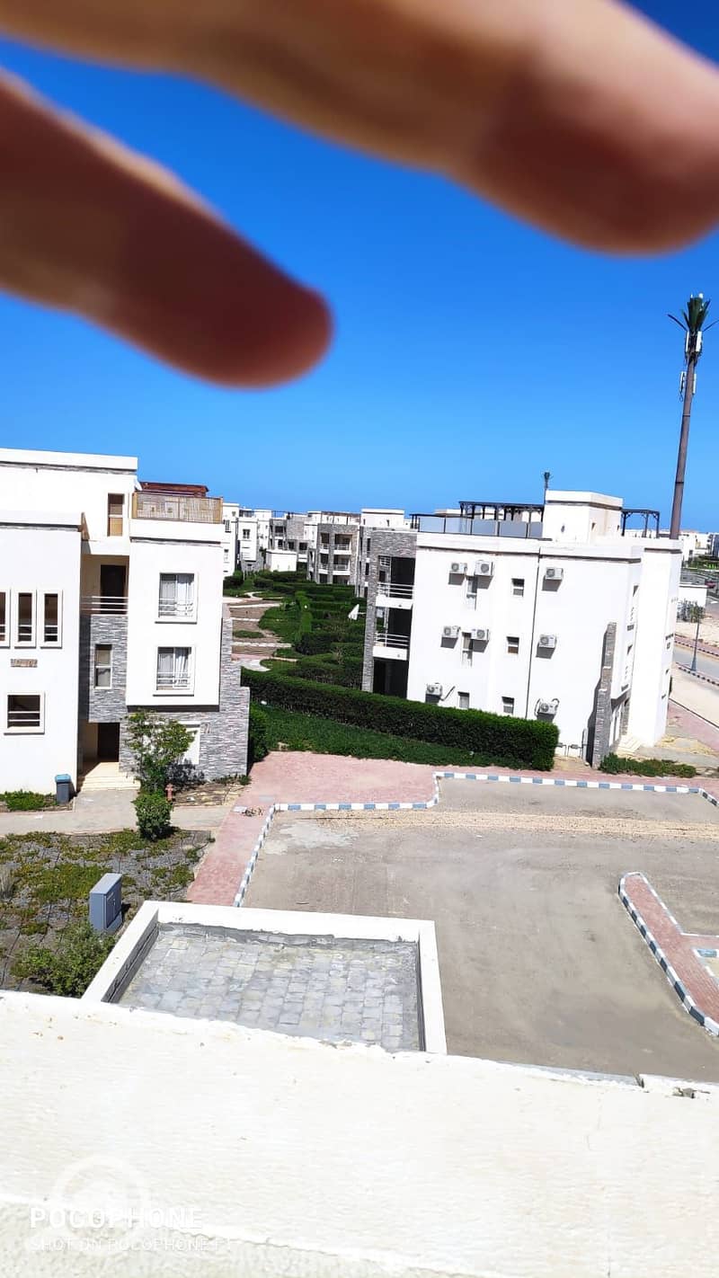 3 WhatsApp Image 2026-01-22 at 5.25. 03 PM (1). jpeg