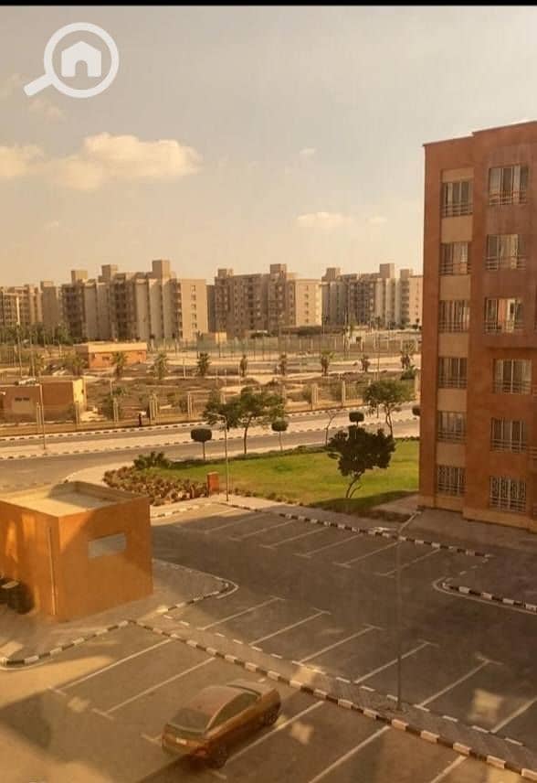 7 617875623_122230356836281986_2668222172402224753_n. jpg