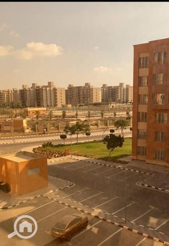 9 617875623_122230356836281986_2668222172402224753_n. jpg