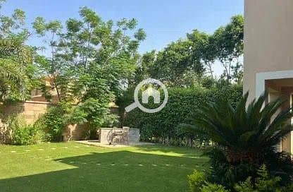 6 570990393_2337528810034893_3409299281418327902_n. jpg