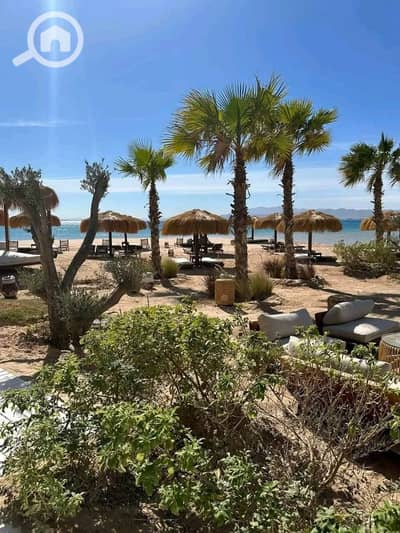 2 Bedroom Chalet for Sale in Soma Bay, Red Sea - FB_IMG_1762195204416. jpg
