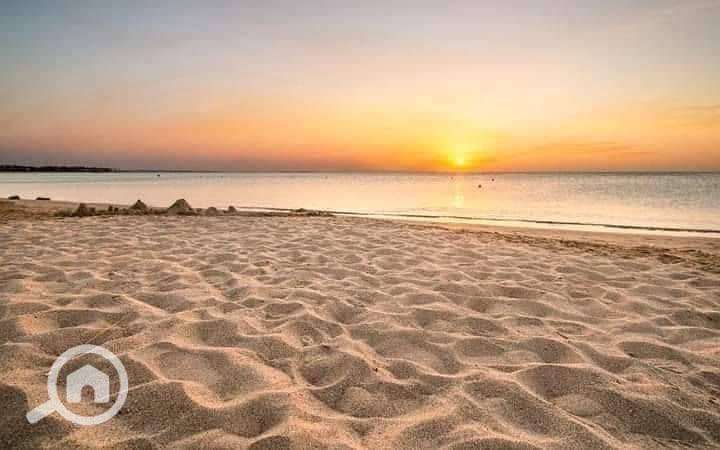 2 552219123_1325384345641572_3172559420686895910_n. jpg