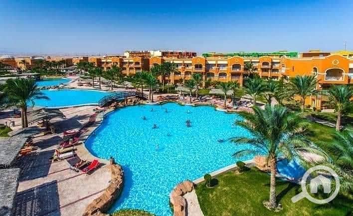 3 552250540_1325383908974949_1175396562494399747_n. jpg