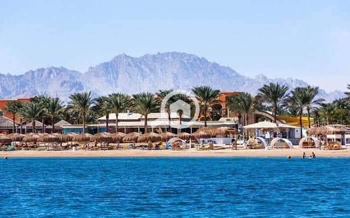 4 552419365_1325384098974930_1584526909051495601_n. jpg