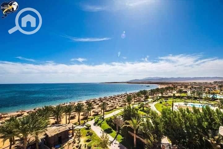 6 553196544_1325384242308249_6252107242168433967_n. jpg