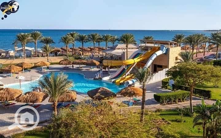 7 553599414_1325384272308246_5263808288753377098_n. jpg