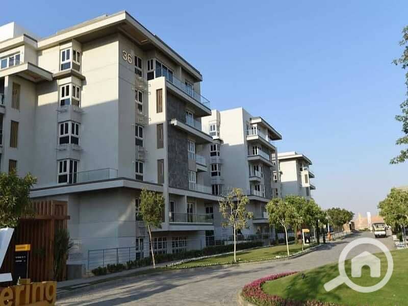 5 c7d6cd90-d981-42a5-bd06-a7f0ffa411c8. jpg