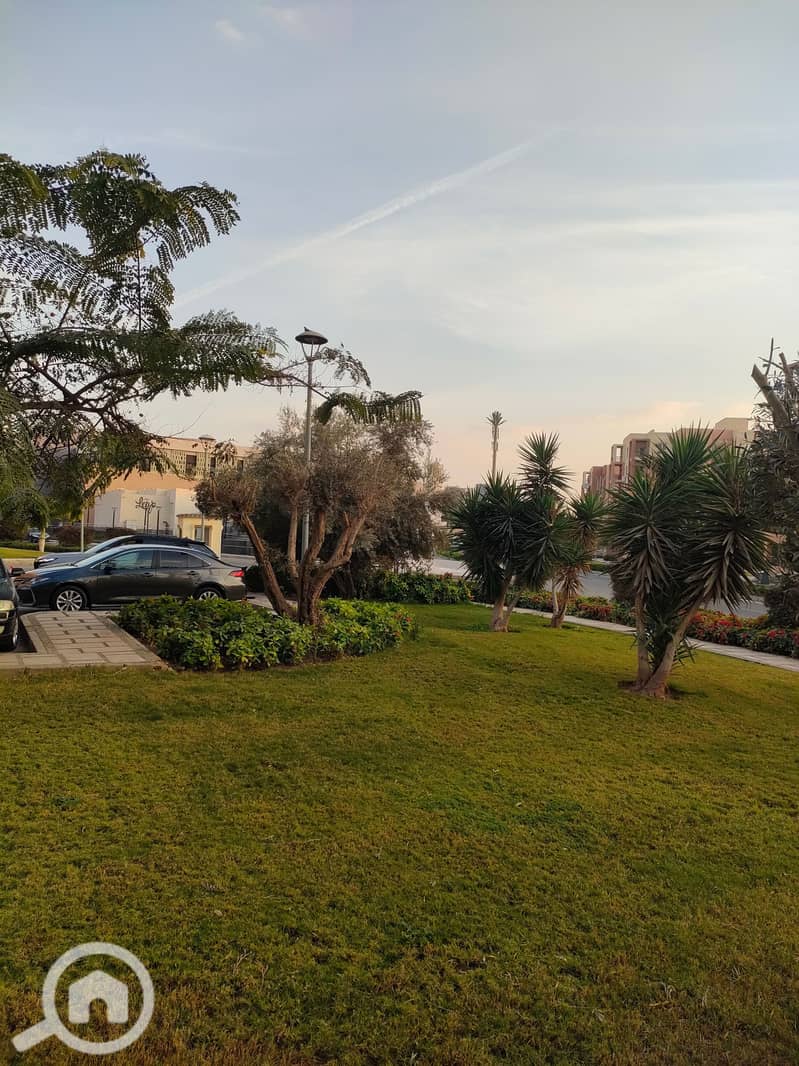 11 IMG20260110164137. jpg