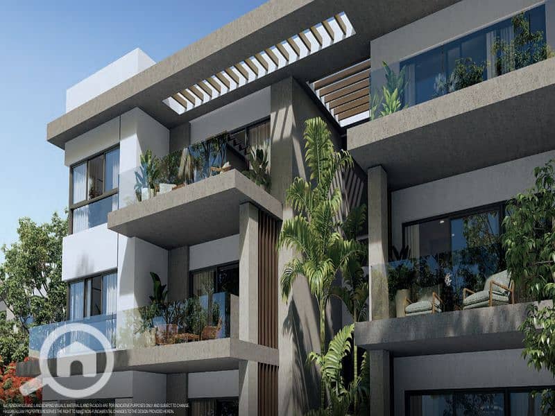 2 WhatsApp Image 2024-03-07 at 15.31. 59_f71ae731. jpg