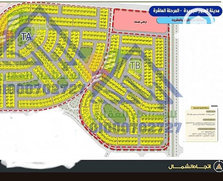 3 518295912_3933882346758247_4451231931350933275_n. jpg