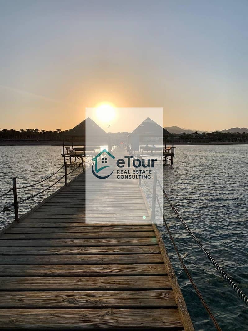 10 2f184a98-6ec6-429c-bf4d-5daba179c3ea. jpg