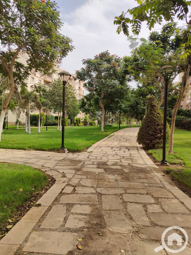 11 IMG20251102122531. jpg