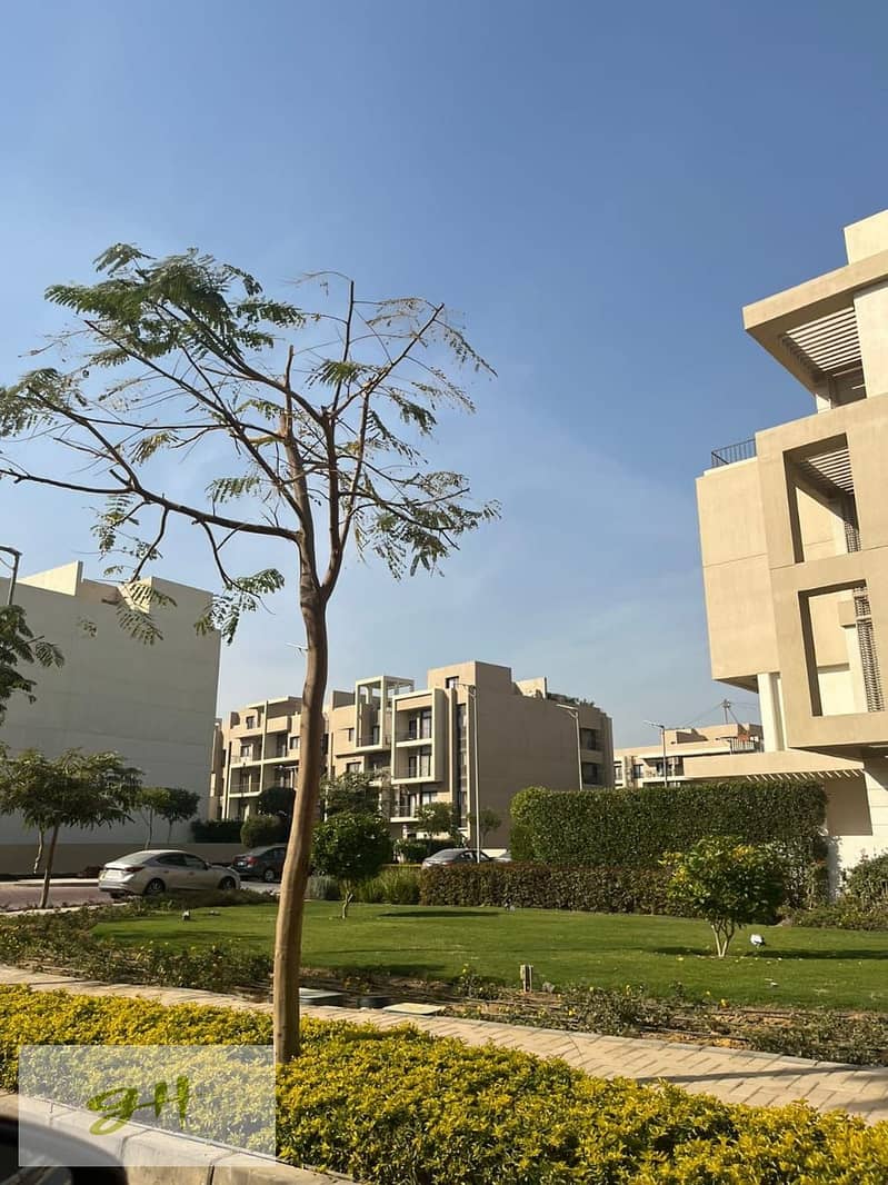 19 cadbe7b1-2ad5-49ef-9efd-5db742805124. jpg