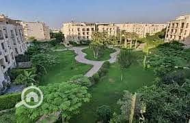 2 download (53). jpg