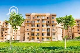 6 download (44). jpg