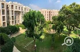 8 download (63). jpg