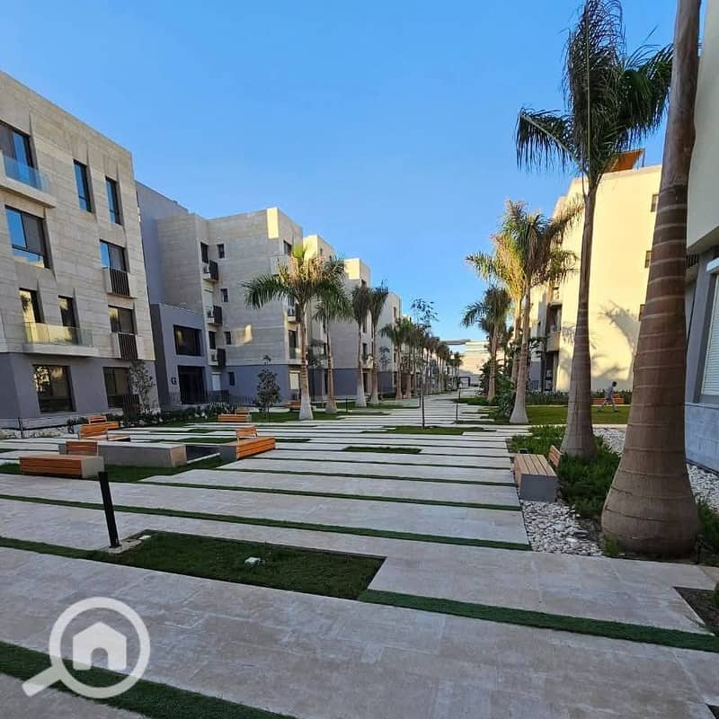 10 482810608_122145728186565108_6686977836746222527_n. jpg