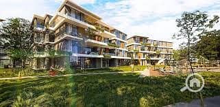 5 672ea89f-29fb-4f17-b965-656ec1036275. jpg