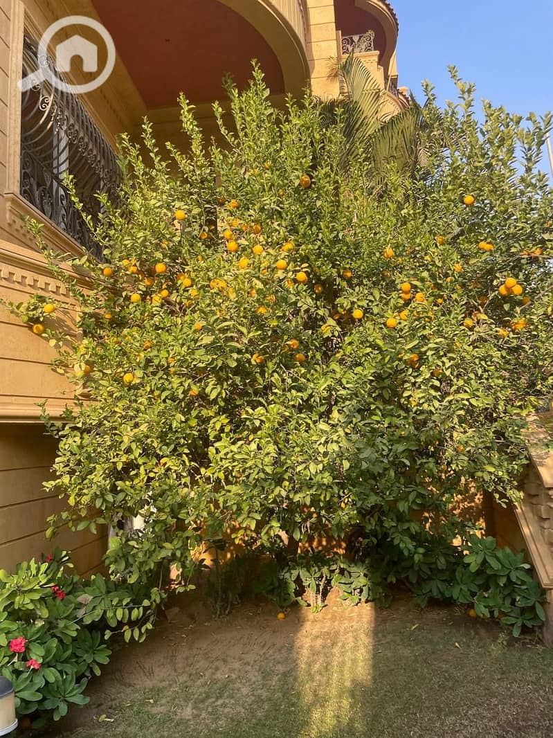 19 WhatsApp Image 2026-01-24 at 2.22. 11 PM (5). jpeg