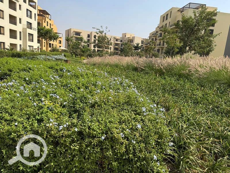 8 WhatsApp Image 2025-02-13 at 10.54. 03 AM_800x600. jpg