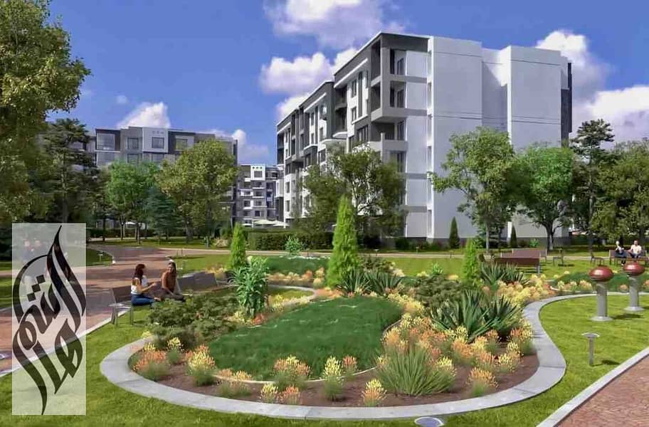 3 alessamy_b14-madinaty_(1)_39474. jpg